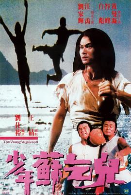 《轻井泽夫人》海报
